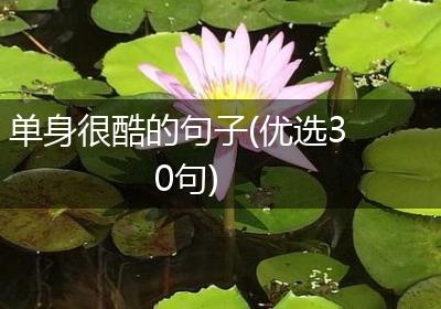 单身很酷的句子(优选30句)