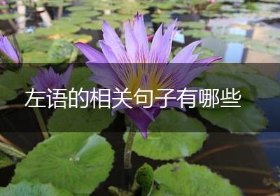 左语的相关句子有哪些
