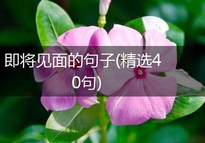 即将见面的句子(精选40句)