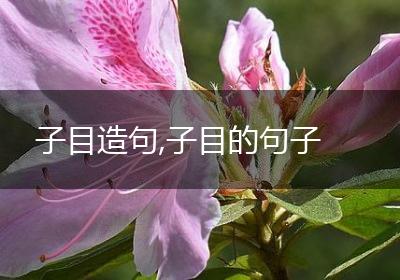 子目造句,子目的句子