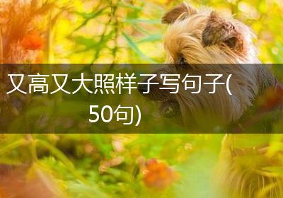 又高又大照样子写句子(50句)