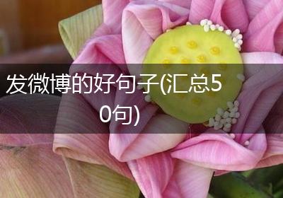 发微博的好句子(汇总50句)