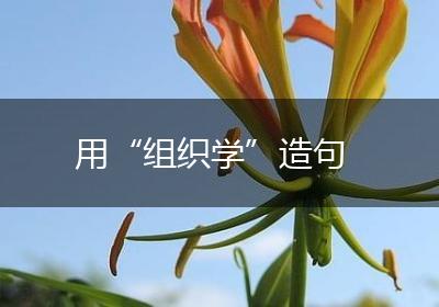用“组织学”造句
