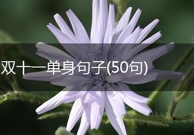双十一单身句子(50句)