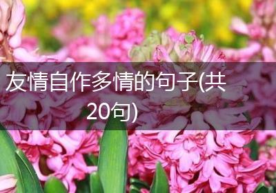 友情自作多情的句子(共20句)