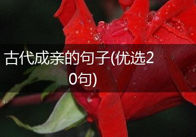 古代成亲的句子(优选20句)