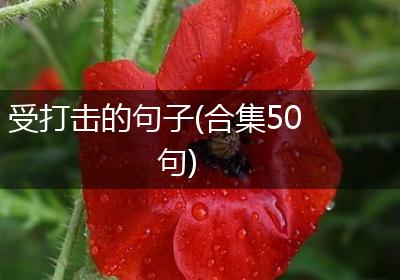 受打击的句子(合集50句)