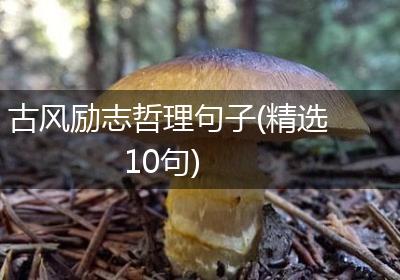 古风励志哲理句子(精选10句)