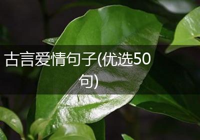 古言爱情句子(优选50句)