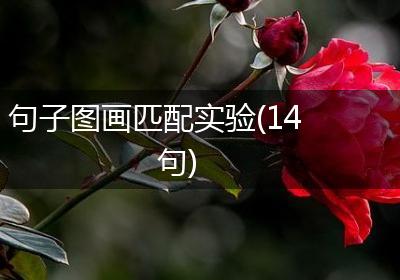 句子图画匹配实验(14句)