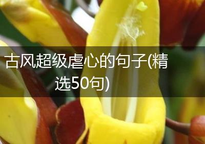 古风超级虐心的句子(精选50句)