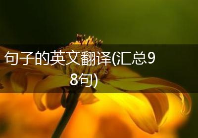 句子的英文翻译(汇总98句)