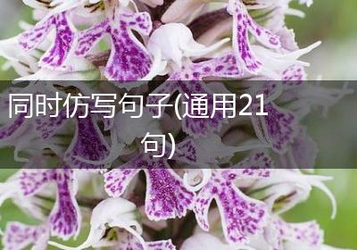 同时仿写句子(通用21句)