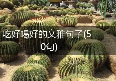 吃好喝好的文雅句子(50句)