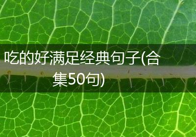 吃的好满足经典句子(合集50句)
