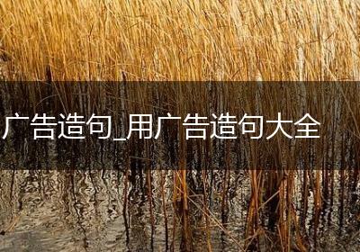 广告造句_用广告造句大全