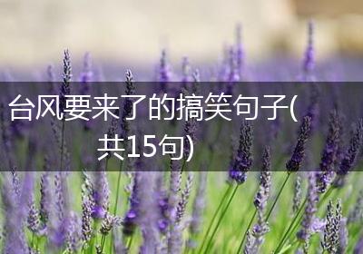台风要来了的搞笑句子(共15句)