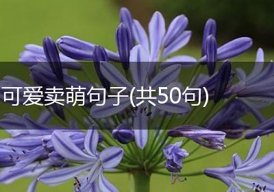 可爱卖萌句子(共50句)