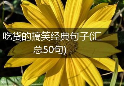 吃货的搞笑经典句子(汇总50句)