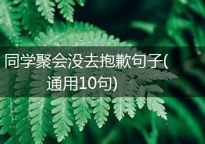 同学聚会没去抱歉句子(通用10句)