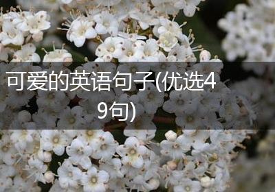 可爱的英语句子(优选49句)