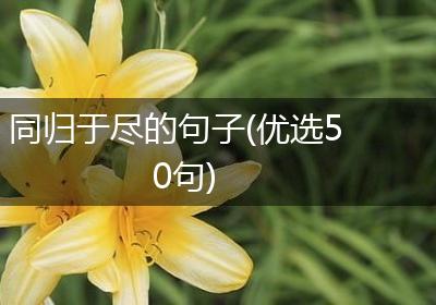 同归于尽的句子(优选50句)