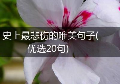 史上最悲伤的唯美句子(优选20句)