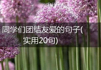 同学们团结友爱的句子(实用20句)