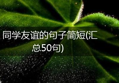 同学友谊的句子简短(汇总50句)