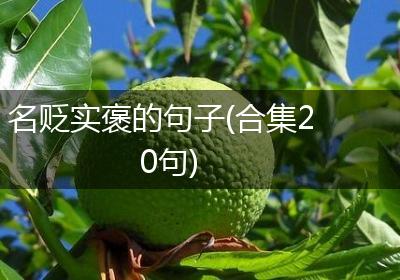 名贬实褒的句子(合集20句)