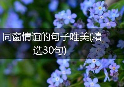同窗情谊的句子唯美(精选30句)