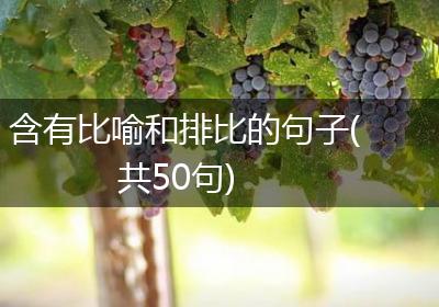 含有比喻和排比的句子(共50句)