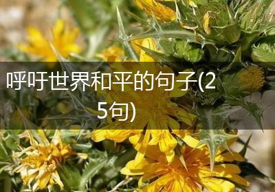 呼吁世界和平的句子(25句)