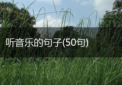 听音乐的句子(50句)