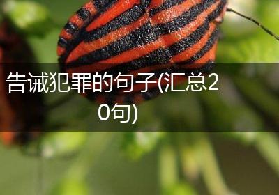 告诫犯罪的句子(汇总20句)
