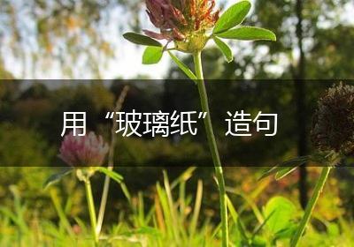 用“玻璃纸”造句