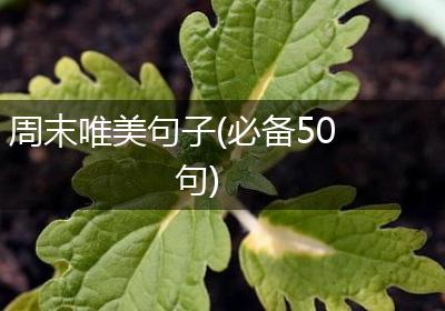 周末唯美句子(必备50句)