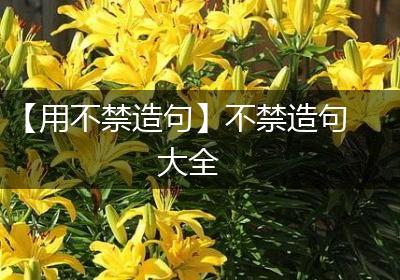 【用不禁造句】不禁造句大全