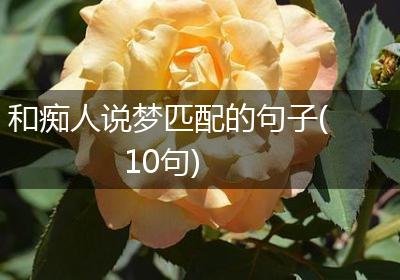 和痴人说梦匹配的句子(10句)