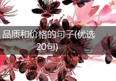 品质和价格的句子(优选20句)