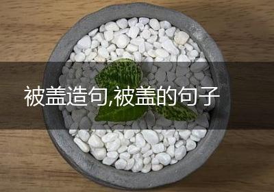 被盖造句,被盖的句子