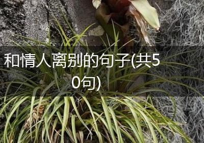 和情人离别的句子(共50句)