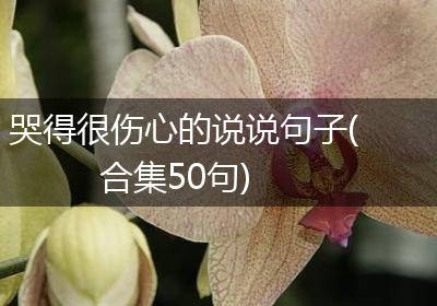 哭得很伤心的说说句子(合集50句)