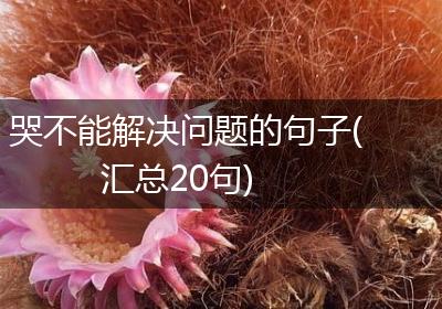 哭不能解决问题的句子(汇总20句)