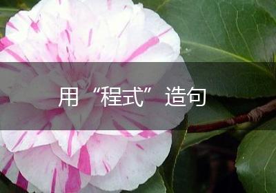 用“程式”造句