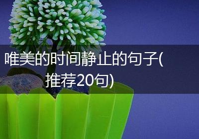唯美的时间静止的句子(推荐20句)