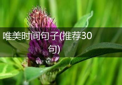 唯美时间句子(推荐30句)
