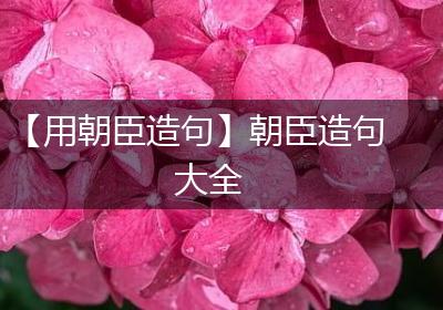 【用朝臣造句】朝臣造句大全