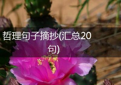 哲理句子摘抄(汇总20句)