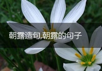 朝露造句,朝露的句子